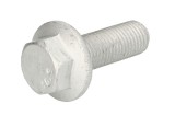 Raw HEX bolts