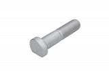 Wheel bolt