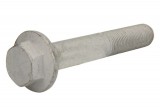 Galvanized HEX bolts