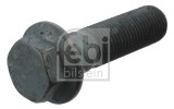 Raw HEX bolts