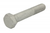 Raw HEX bolts