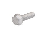 Raw HEX bolts