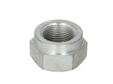 Leaf spring fixing nut