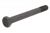 Leaf spring fixing bolt
