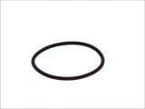 Rubber O-Rings