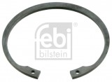 Inner Seeger rings