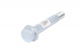 Leaf spring fixing bolt