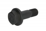 Raw HEX bolts
