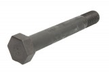 Leaf spring fixing bolt