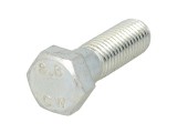 Galvanized HEX bolts