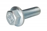 Raw HEX bolts