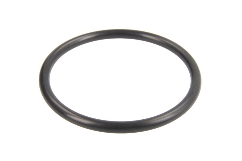 113883 TOPRAN Air filter housing gasket