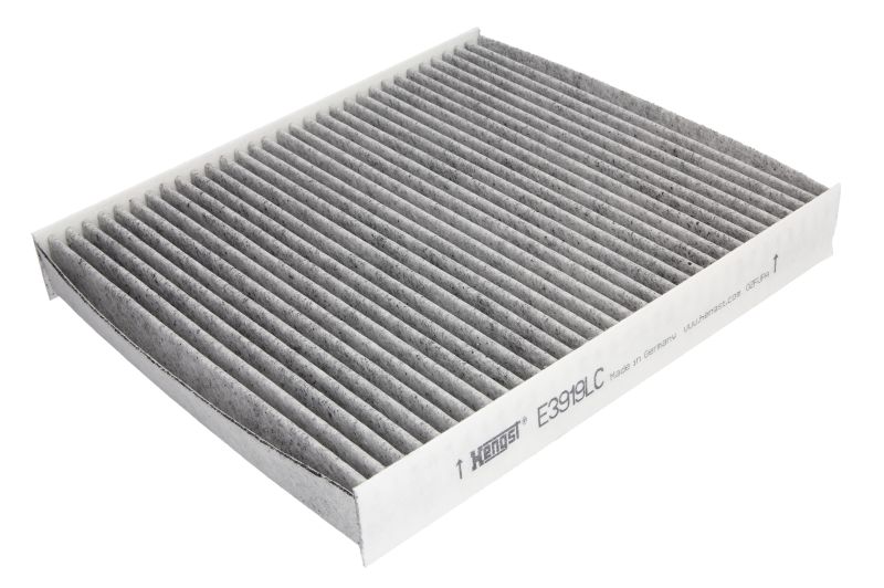 E3919LC HENGST FILTER Фильтр, воздух во внутренном пространстве