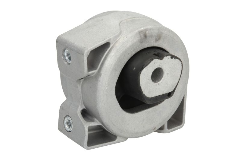 RH123010 REINHOCH Подушка коробки передач