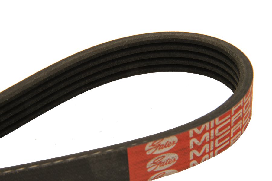 5PK830 DAYCO V-Ribbed Belts