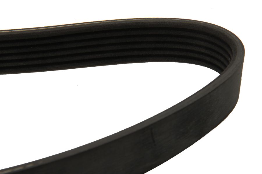 6PK872 DAYCO V-Ribbed Belts