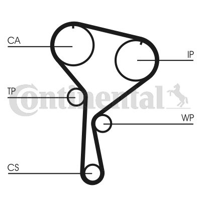 CT1035WP1 CONTITECH Комплект (ремень + ролик + водяной насос)