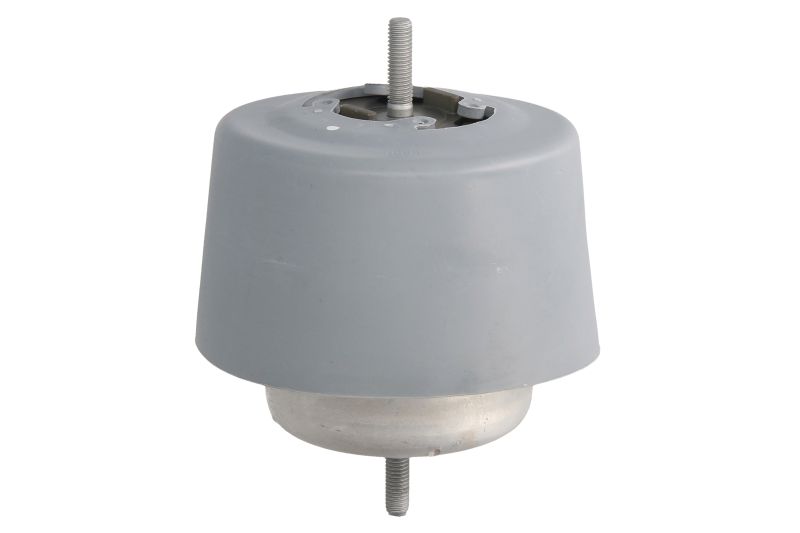 RH110037 REINHOCH Подвеска двигателя