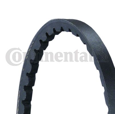 10X1125 CONTITECH V-Ribbed Belts