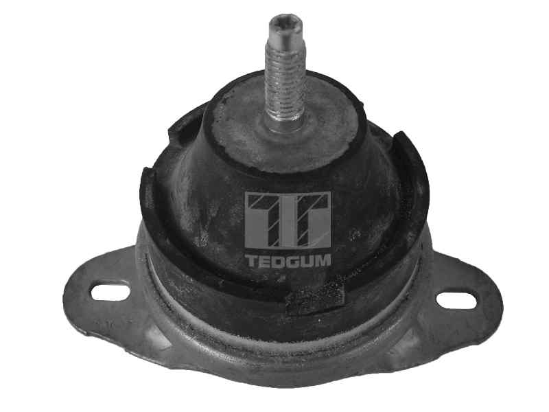 00514176 TEDGUM Подвеска двигателя