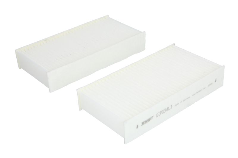 E3934LI2 HENGST FILTER Салонный фильтр