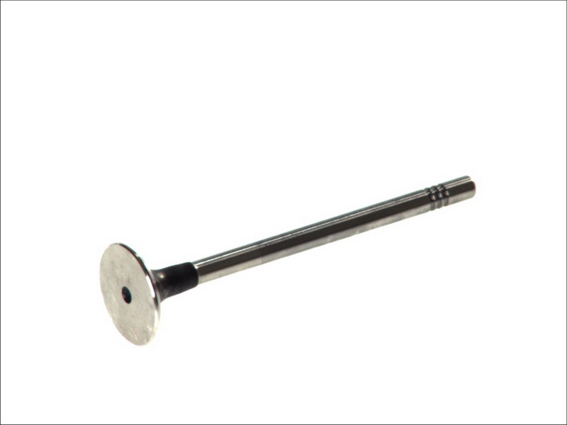 R6565BM FRECCIA Клапан выпускной