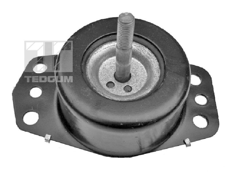 00505737 TEDGUM Подвеска двигателя