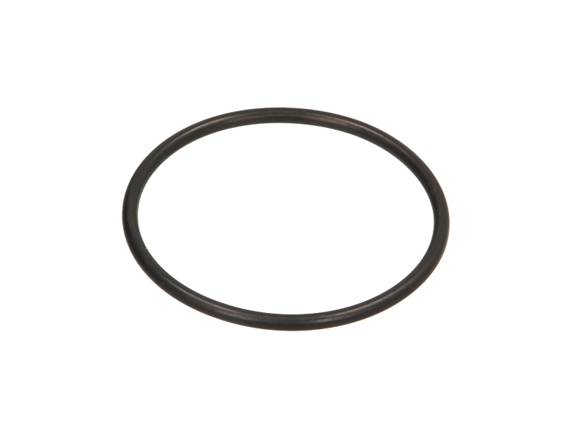 A2C59516938 VDO EGR valve gasket