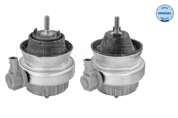 1001993000S MEYLE Engine mount kit