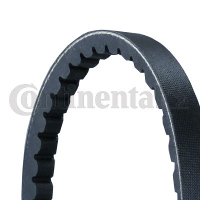 13X1375 CONTITECH V-Ribbed Belts