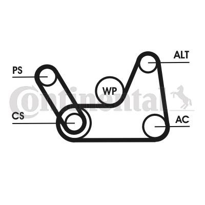 6PK1019ELASTT1 CONTITECH Поликлиновой ременный комплект