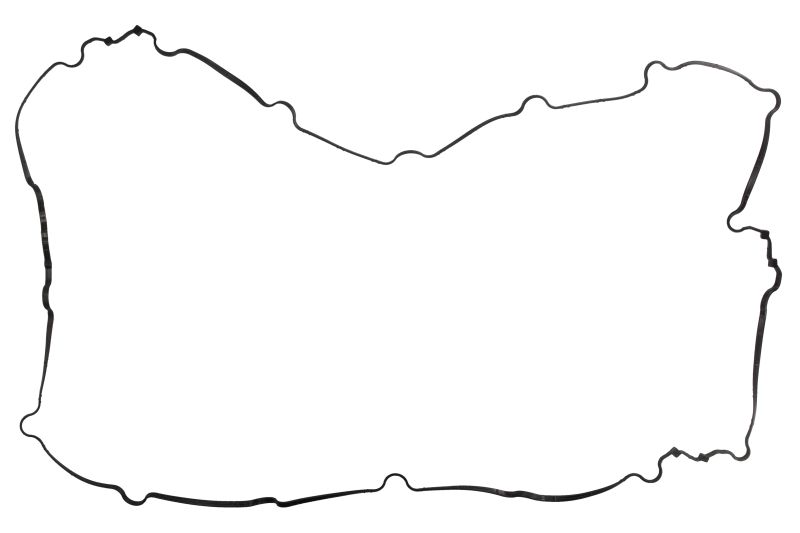 711029300 VICTOR REINZ Прокладка масляного поддона