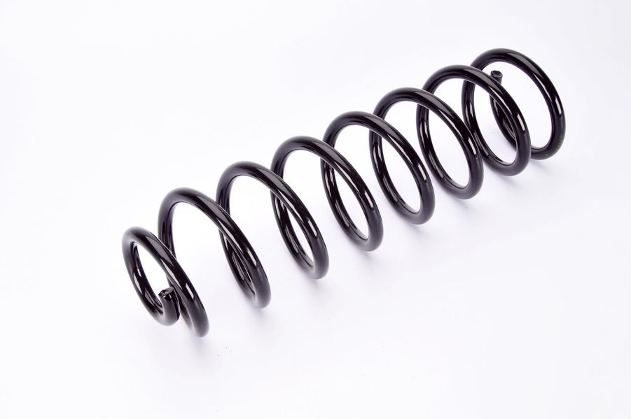 SR074MT MAGNUM TECHNOLOGY Пружина, задняя ось