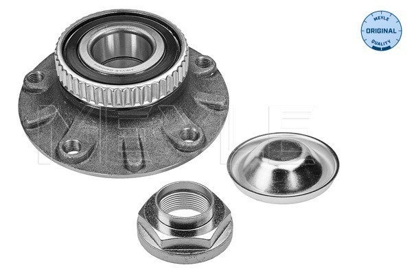 3006520008 MEYLE Wheel bearing kit with a hub