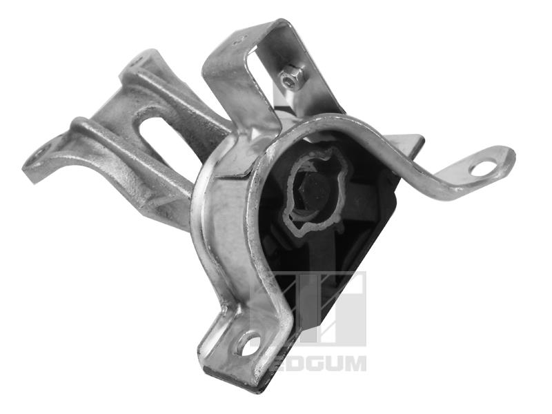 00219142 TEDGUM Подвеска двигателя