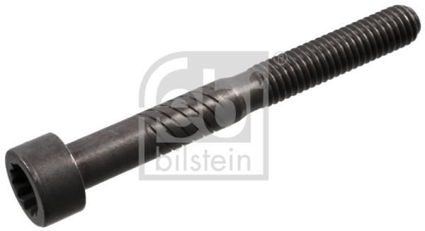 100729 FEBI BILSTEIN Camshaft support bolt