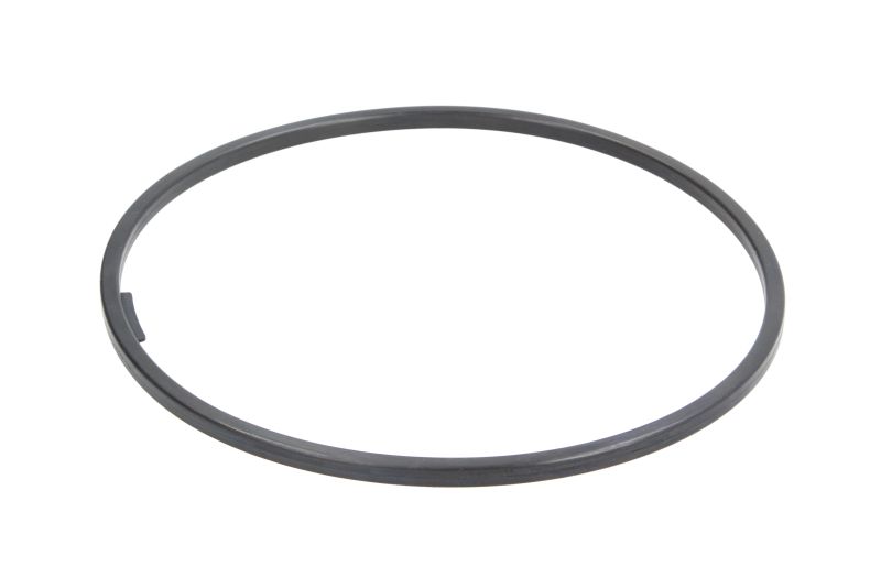 596672 ELRING Уплотнитель ступицы