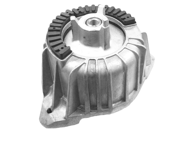 00418473 TEDGUM Подвеска двигателя