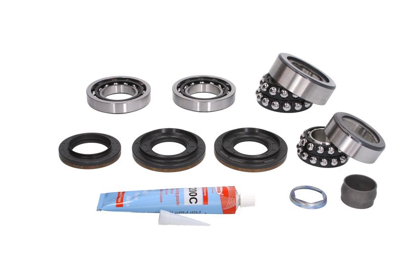 462014810 LUK Differential assembly repair kit