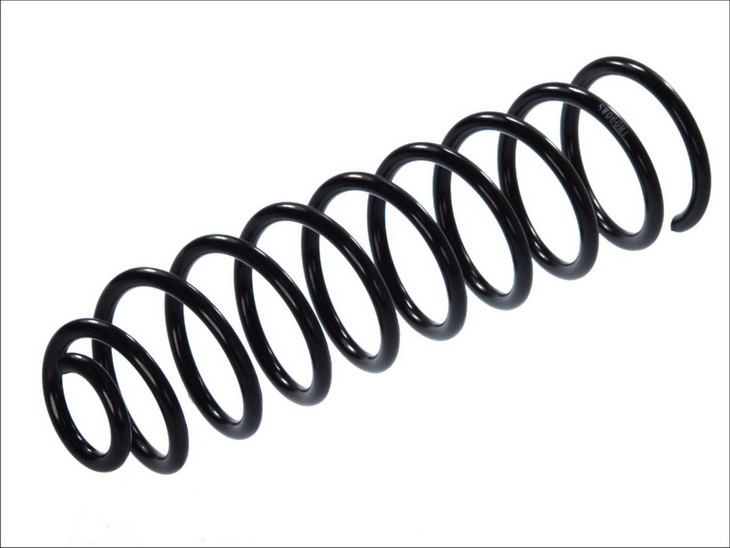 SW060MT MAGNUM TECHNOLOGY Пружина, задняя ось