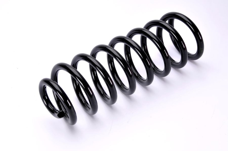 SR131MT MAGNUM TECHNOLOGY Пружина, задняя ось