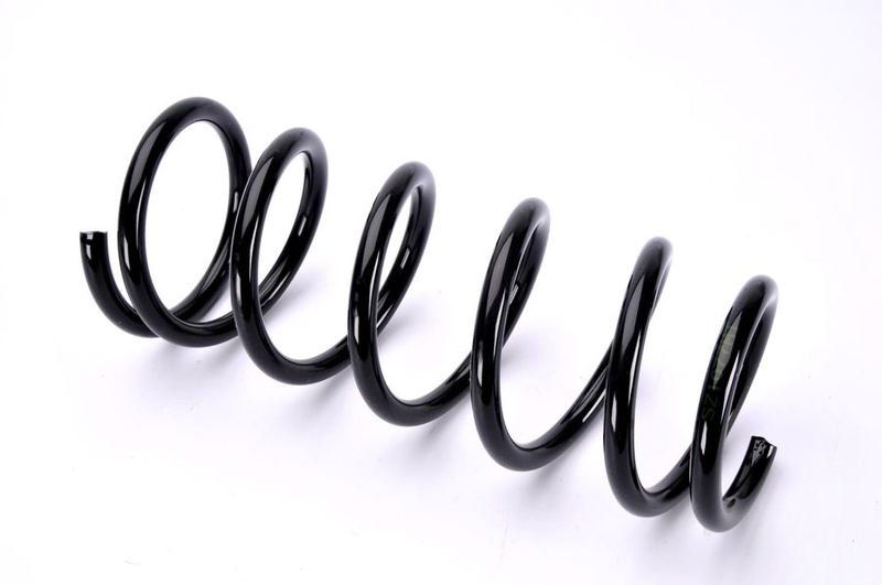 SZ1077MT MAGNUM TECHNOLOGY Пружина, задняя ось