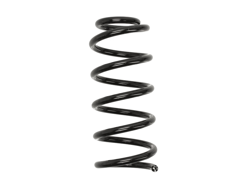 RG6520 KYB Пружина, задняя ось