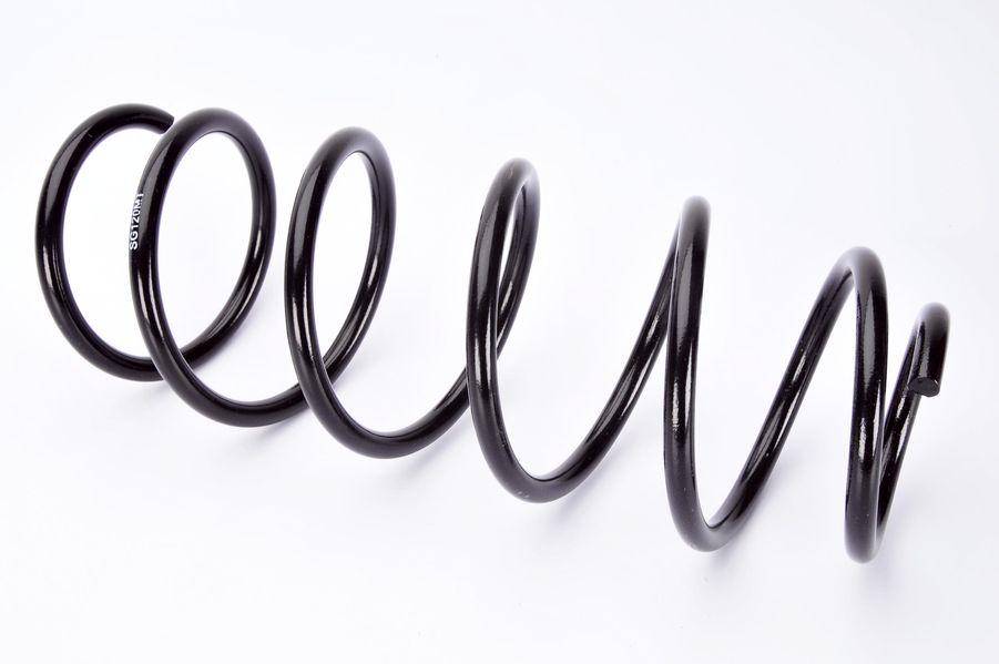 SG120MT MAGNUM TECHNOLOGY Пружина, задняя ось