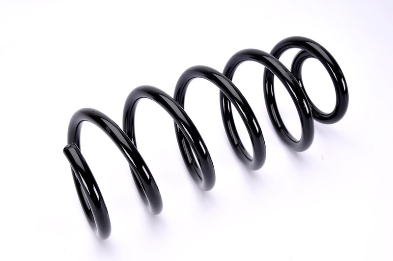 SW109MT MAGNUM TECHNOLOGY Пружина, задняя ось