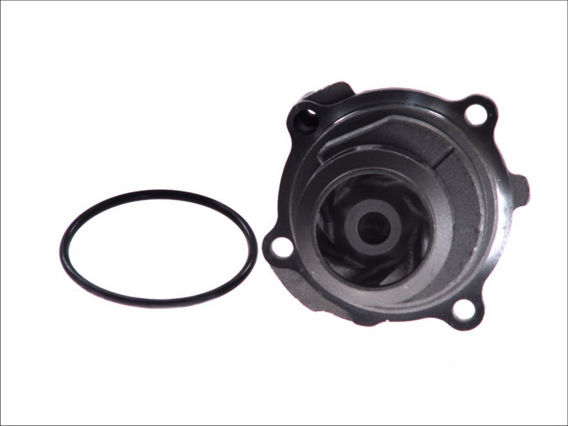 352316171171 MAGNETI MARELLI Водяной насос