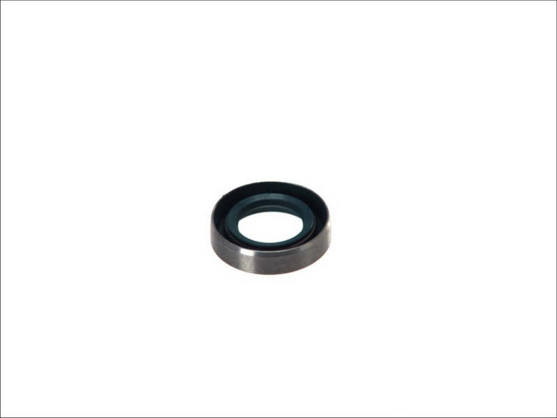 206900 TOPRAN Fuel injection pump element
