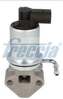 EGR12135 FRECCIA Клапан рециркуляції газів