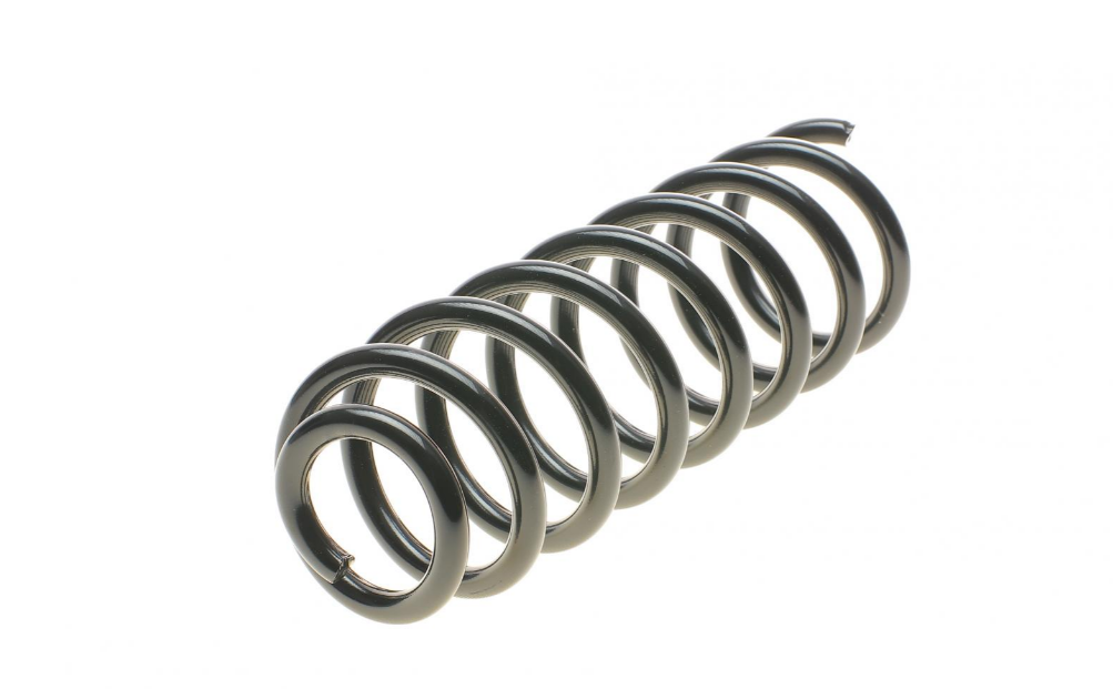 212048 SOLGY Пружина (задняя)